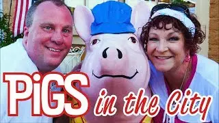 Pigs In the City