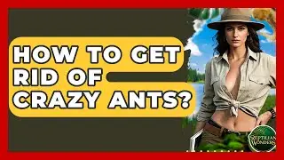 How To Get Rid Of Crazy Ants? - Reptilian Wonders