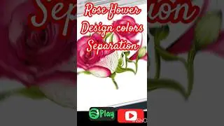 Rose flower color separation#nice #art #drawing #painting#shorts #design