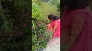 Garden work#shorts#beautful #garden #motivation #viralvideo