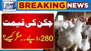 Chicken Price Update | New Rates Announced | Breaking News  | Lahore News HD