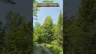 ATV Ride: 6th Line Trail #atvriding #shorts