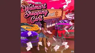 Walmart Shopping Cart