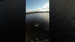 fishermen who Lie about their Bass