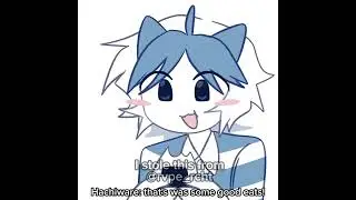 [#CHIIKAWA] fatass Usagi... #Hachiware #Usagi