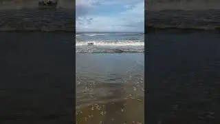 Ocean Waves - Corolla, North Carolina (Outer Banks)