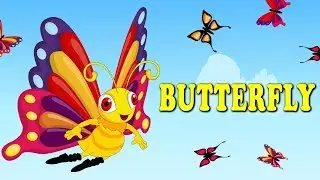 Butterfly Flutter Around | Butterfly Butterfly Nursery Rhyme for Kids
