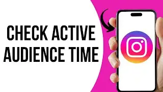 How to check audience active time on Instagram ?