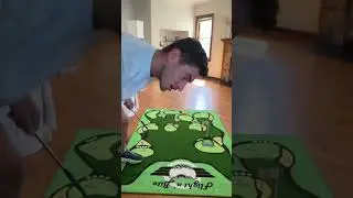 How to Play Flight n&rsquo; Bite (High Level Gameplay)