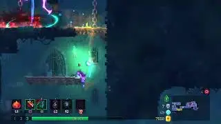 Dead Cells: Risk Of Murder