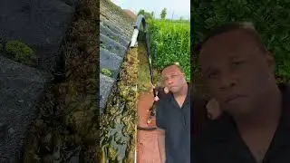 The Best way to Gutter clean #guttermaintenance #satisfying