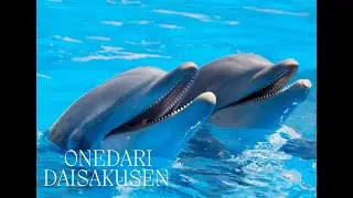 Onedari Daisakusen - Music Video