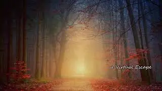 Journey Through an Enchanted Forest - Magical Forest | A Virtual Escape