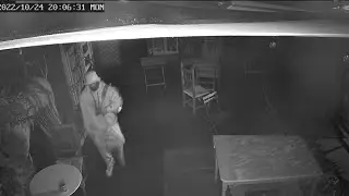 Ocean Beach business is robbed twice as neighborhood crime increases