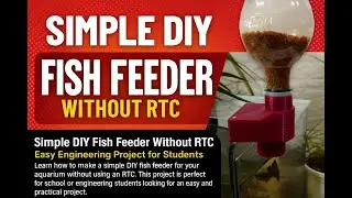 Simple DIY Automatic Fish Feeder | School & Engineering Project | No RTC Required