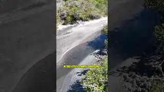 Lopez Mateos is a Magical Place. Let me show you why! #lopezmateos #mangroves #magicalplace