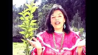 Anita Fajardo(Alaq Shongu Paisanito & Altun Puriq Wayanito) 2004