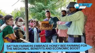 Sattari farmers embrace honey bee farming for the medicinal benefits and economic boost