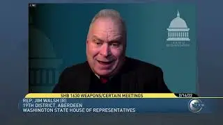 Walsh shares remarks during floor debate on open-carry gun restriction bill, House Bill 1630