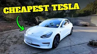 I Bought A Tesla for $10k - Cheapest In The Country - Here's Why