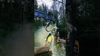 Tree trunk cutting with heavy equipment #shorts