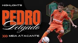 HIGHLIGHTS - PEDRO DELGADO | MEIA ATACANTE | 2013