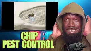 CHIP - БОРЬБА С ВРЕДИТЕЛЯМИ (ВИЗУАЛИЗАТОР) DEEPSSPEAKS (РЕАКЦИЯ)
