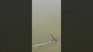 Village fishing Video 🐬 Boat fishing video 🌻( part_182) #fishing #shorts #trending #fish #boat