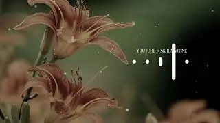new love music, hindi ringtone 2019 , latest ringtone 2019, Ringtones for mobile