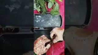 Diy clutch👛 from plastic box # trendy clutch making  ☺️ #diy  # akanksha # plz subcribe me 🙏🏻