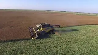 Bettenhausen Farms - Canola Harvest