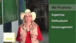 Equine Industry: Yellow Barn Media - Social Media Management and Consulting