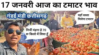 17 January 2026 आज का टमाटर भाव tomoto price today #Rohansabjiwala #cg #farming #food #tomato 
