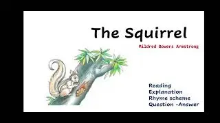 The Squirrel Class 7 Poem 1 Honeycomb