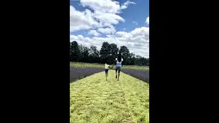 Fun day trip from Toronto: Avalon Lavender Farm