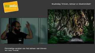 Planmatige aanpak van het beheer van dreven, Tom Joye (Inverde)