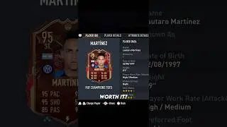 Is TOTS Martinez Worth It?
