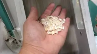 Degerminator