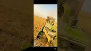 Swaraj 855 modified 🔥 performance on straw reaper 👌
