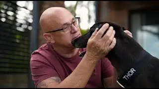 Greyhounds as Pets NSW PTSD Program : Thor & Matt