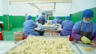 【Youlingyoushi 】 How is freeze-dried durian produced?