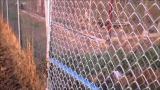 Jackson Alabama Pound