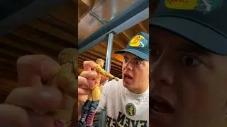 ЭТА ФИГУРКА WWE ПЛОХАЯ!!!!!