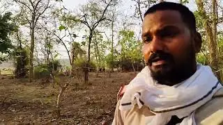 Forest Guard Daily Life 🐅🐅 By Sunil kushwah
