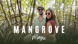 Walk Through Mangrove Forest | Vlog 36 #beyondfilter