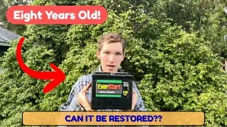 Can You Revive A Dead 2017 Lead-Acid Battery By Flushing It With Distilled Water?