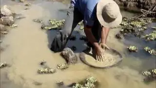 Bota panning for Gold in Brazil