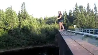 jumping off neils bridge.