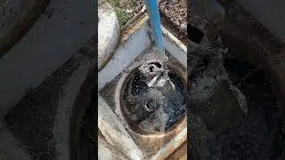 A Super Clogged Effluent Filter On A Septic System - Sewage Filters Save Drainfields! #shorts