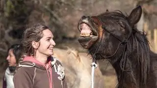 Welcome to A World of Horses - Horse riding in France